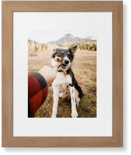 Pet Photo Gallery Framed Print, Natural, Contemporary, White, White, Single piece, 11x14, Multicolor, multi