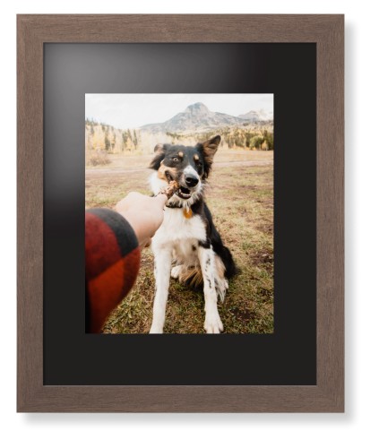 Pet Photo Gallery Framed Print, Walnut, Contemporary, Black, Black, Single piece, 11x14, Multicolor