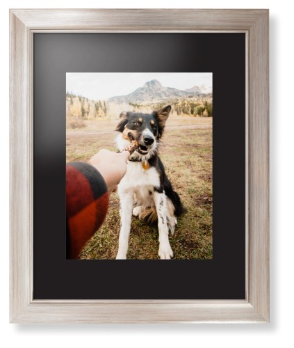 Pet Photo Gallery Framed Print, Metallic, Modern, None, Black, Single piece, 11x14, Multicolor