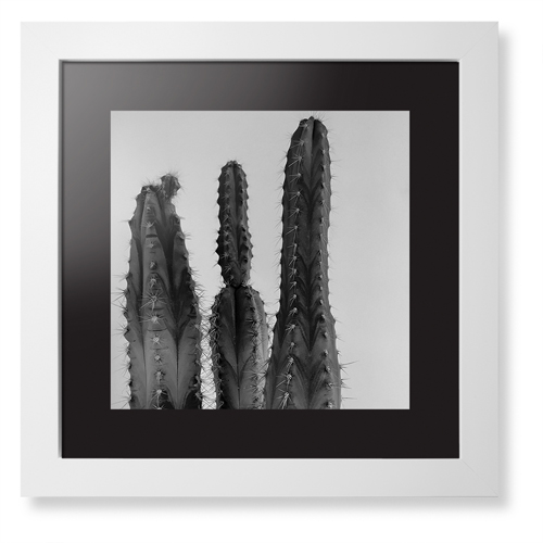 Saguaro Cactus Framed Print, White, Contemporary, Black, Black, Single piece, 12x12, Multicolor