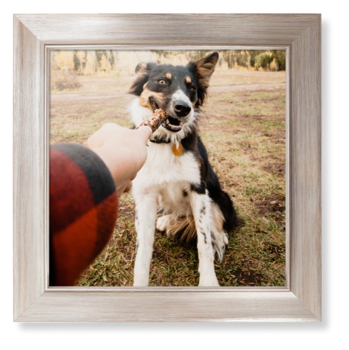 Pet Photo Gallery Framed Print, Metallic, Modern, None, None, Single piece, 12x12, Multicolor