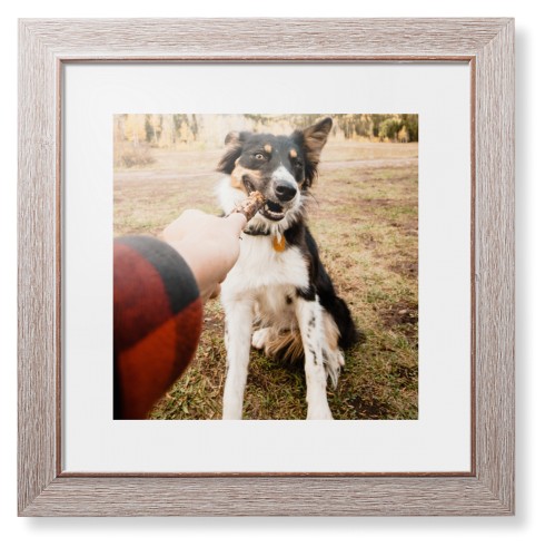 Pet Photo Gallery Framed Print, Rustic, Modern, None, White, Single piece, 12x12, Multicolor