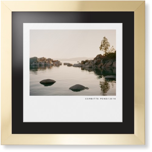 Modern Gallery Framed Print, Matte Gold, Contemporary, White, Black, Single piece, 16x16, White, white