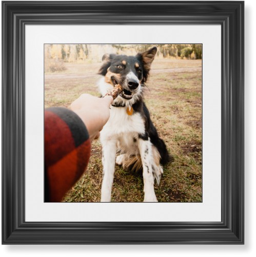 Pet Photo Gallery Framed Print, Black, Classic, Black, White, Single piece, 16x16, Multicolor