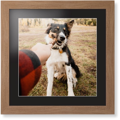 Pet Photo Gallery Framed Print, Natural, Contemporary, White, Black, Single piece, 16x16, Multicolor, multi