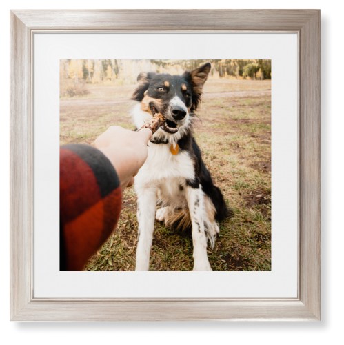 Pet Photo Gallery Framed Print, Metallic, Modern, None, White, Single piece, 16x16, Multicolor, multi