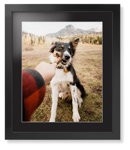 Pet Photo Gallery Framed Print, Black, Contemporary, White, Black, Single piece, 16x20, Multicolor