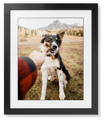 Pet Photo Gallery Framed Print, Black, Contemporary, Black, White, Single piece, 16x20, Multicolor