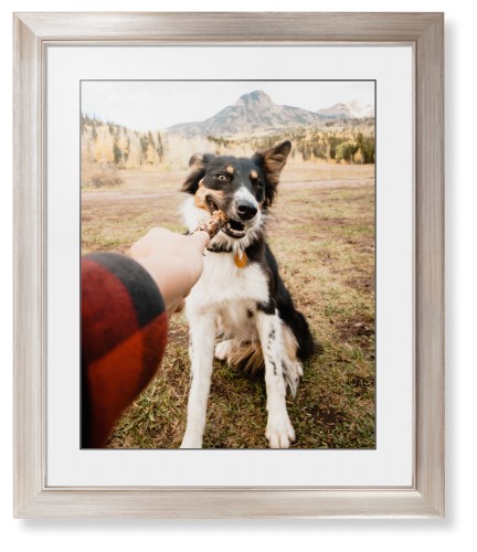 Pet Photo Gallery Framed Print, Metallic, Modern, Black, White, Single piece, 16x20, Multicolor, multi