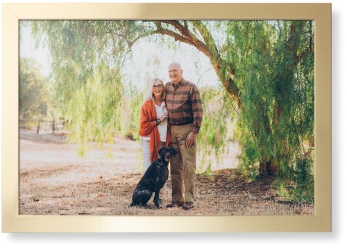 Landscape Photo Gallery Framed Print, Matte Gold, Contemporary, None, None, Single piece, 20x30, Multicolor, multi