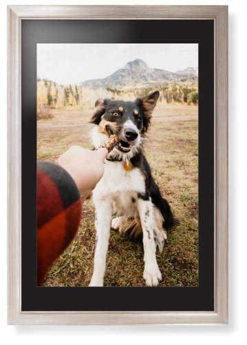 Pet Photo Gallery Framed Print, Metallic, Modern, None, Black, Single piece, 20x30, Multicolor, multi