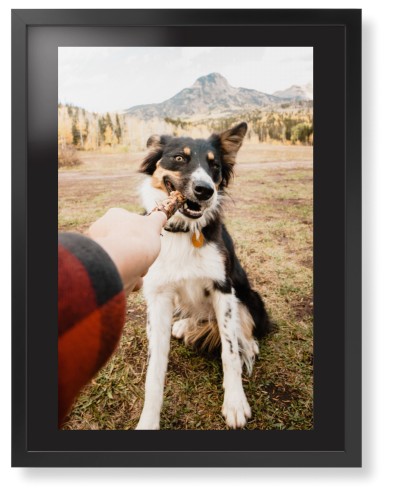 Pet Photo Gallery Framed Print, Black, Contemporary, Black, Black, Single piece, 24x36, Multicolor