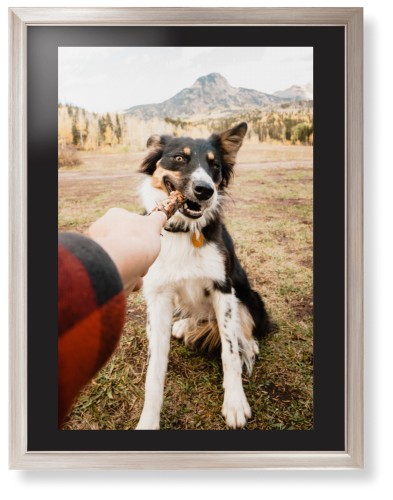 Pet Photo Gallery Framed Print, Metallic, Modern, Black, Black, Single piece, 24x36, Multicolor, multi