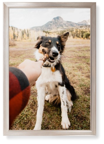 Pet Photo Gallery Framed Print, Metallic, Modern, None, None, Single piece, 24x36, Multicolor