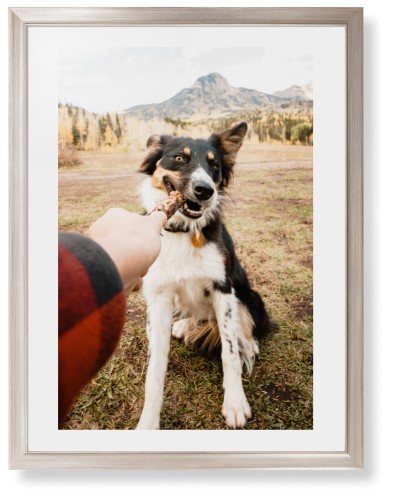 Pet Photo Gallery Framed Print, Metallic, Modern, White, White, Single piece, 24x36, Multicolor