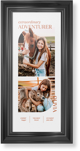 Favorite Infographic Framed Print, Black, Classic, None, None, Single piece, 10x24, Brown, fawn