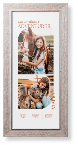 Favorite Infographic Framed Print, Rustic, Modern, None, None, Single piece, 10x24, Brown, fawn