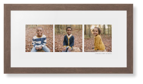 Panoramic Gallery of Three Framed Print, Walnut, Contemporary, White, White, Single piece, 10x24, Multicolor