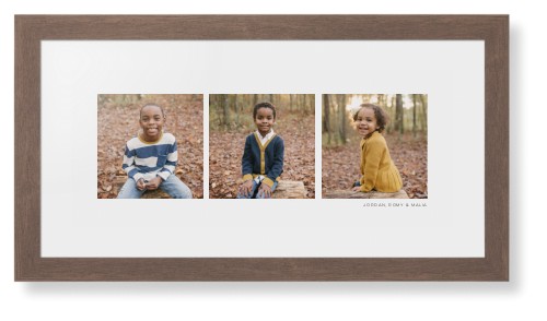 Panoramic Gallery of Three Framed Print, Walnut, Contemporary, White, White, Single piece, 10x24, Multicolor, multi