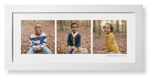 Panoramic Gallery of Three Framed Print, White, Contemporary, None, None, Single piece, 10x24, Multicolor, multi