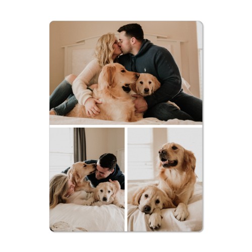 Gallery of Three Pet Magnet, 4x5.5, Multicolor