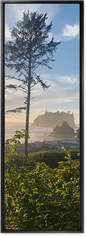 Photo Gallery Pano Portrait