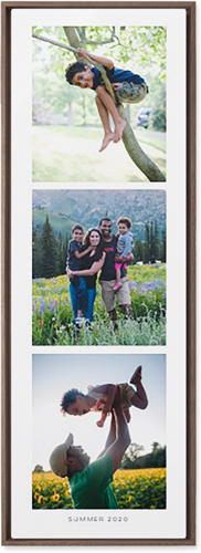 Three of a Kind Portrait Wall Art, Walnut, Single piece, Metal, 12x36, Matte, Multicolor