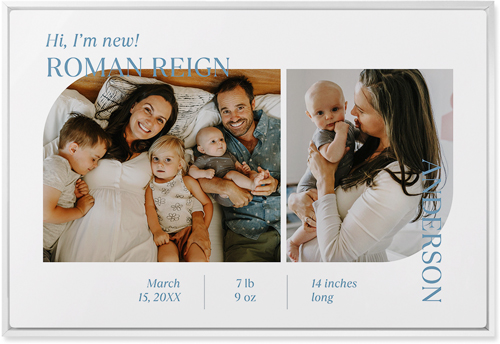 Favorite Infographic Wall Art, White, Single piece, Metal, 20x30, Glossy, White, white