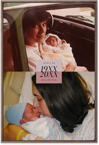 Then and Now Wall Art, Walnut, Single piece, Metal, 20x30, Glossy, Pink, desert rose