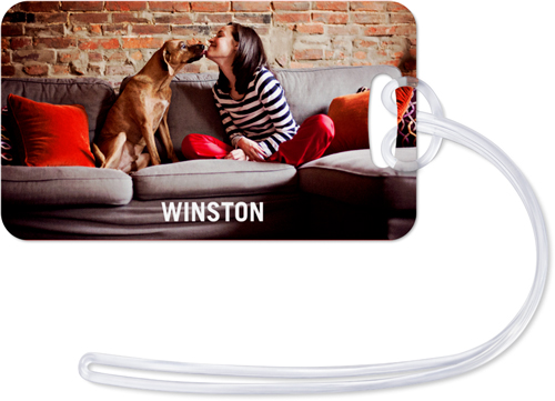 Pets Photo Gallery Horizontal Luggage Tag, Large, Multicolor