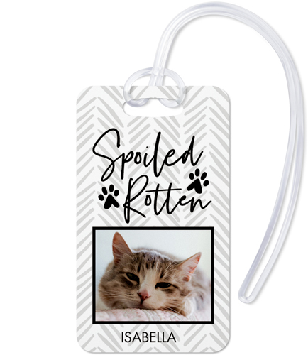 Playful Patterns Spoiled Luggage Tag, Large, Gray