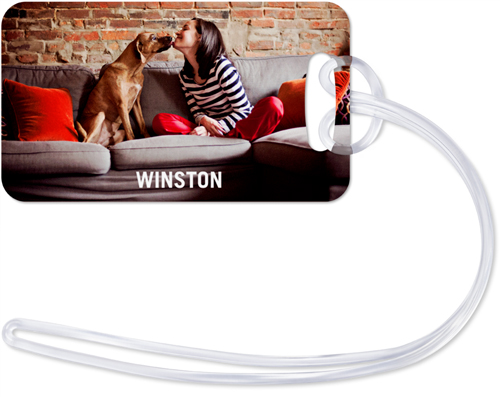 Shutterfly pet tags deals