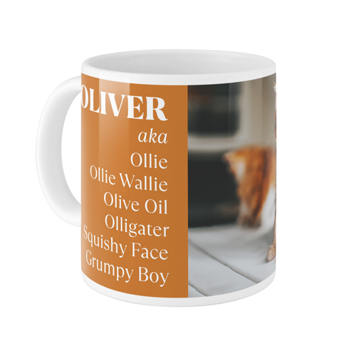 Favorite Nicknames Mug, White, , 11oz, Multicolor, multi