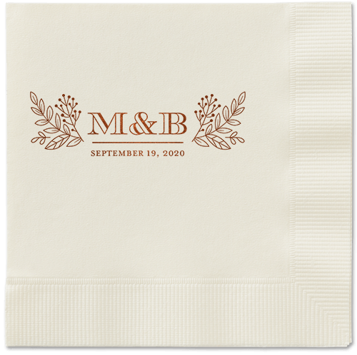 Captivated Chalk Napkins, Brown, Ecru