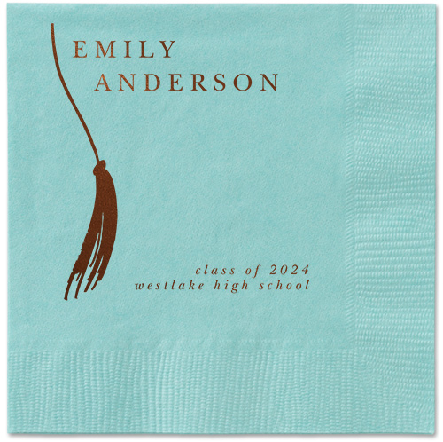 Direct Tassel Napkin, Brown, Aqua