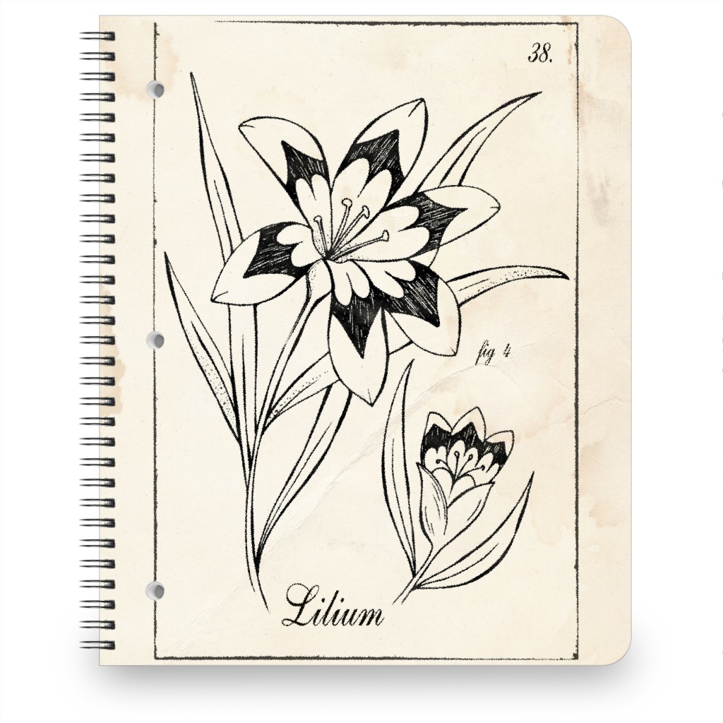 Vintage Plate Lily Sketch - Beige and Black Notebook, 8.5x11, Beige