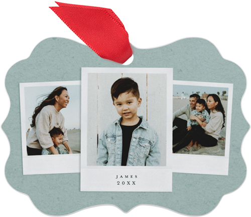 Film Frames Metal Ornament, Green, Rectangle Bracket, mantis