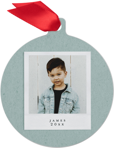 Film Frames Metal Ornament, Green, Circle, mantis