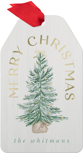 Christmas Tree Tidings Metal Ornament, Green, Gift Tag, fern