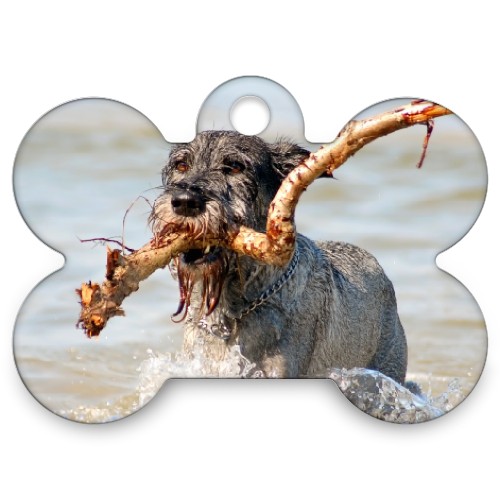 Kitchen Trivets Pot Holders Set of 2, Cute Schnauzer Hearts