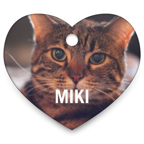 Shutterfly free outlet pet tag