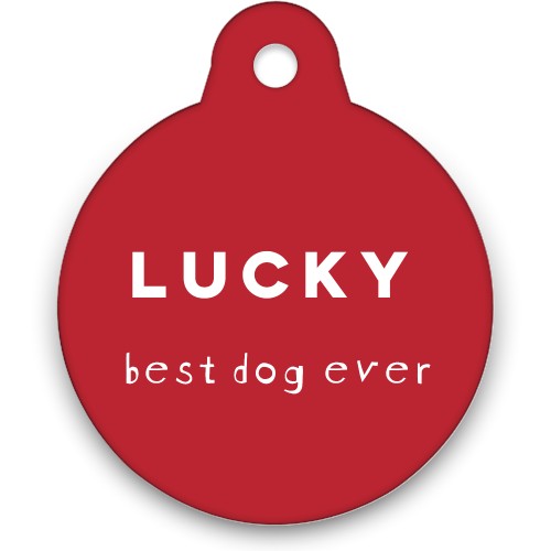 Free pet tag outlet shutterfly