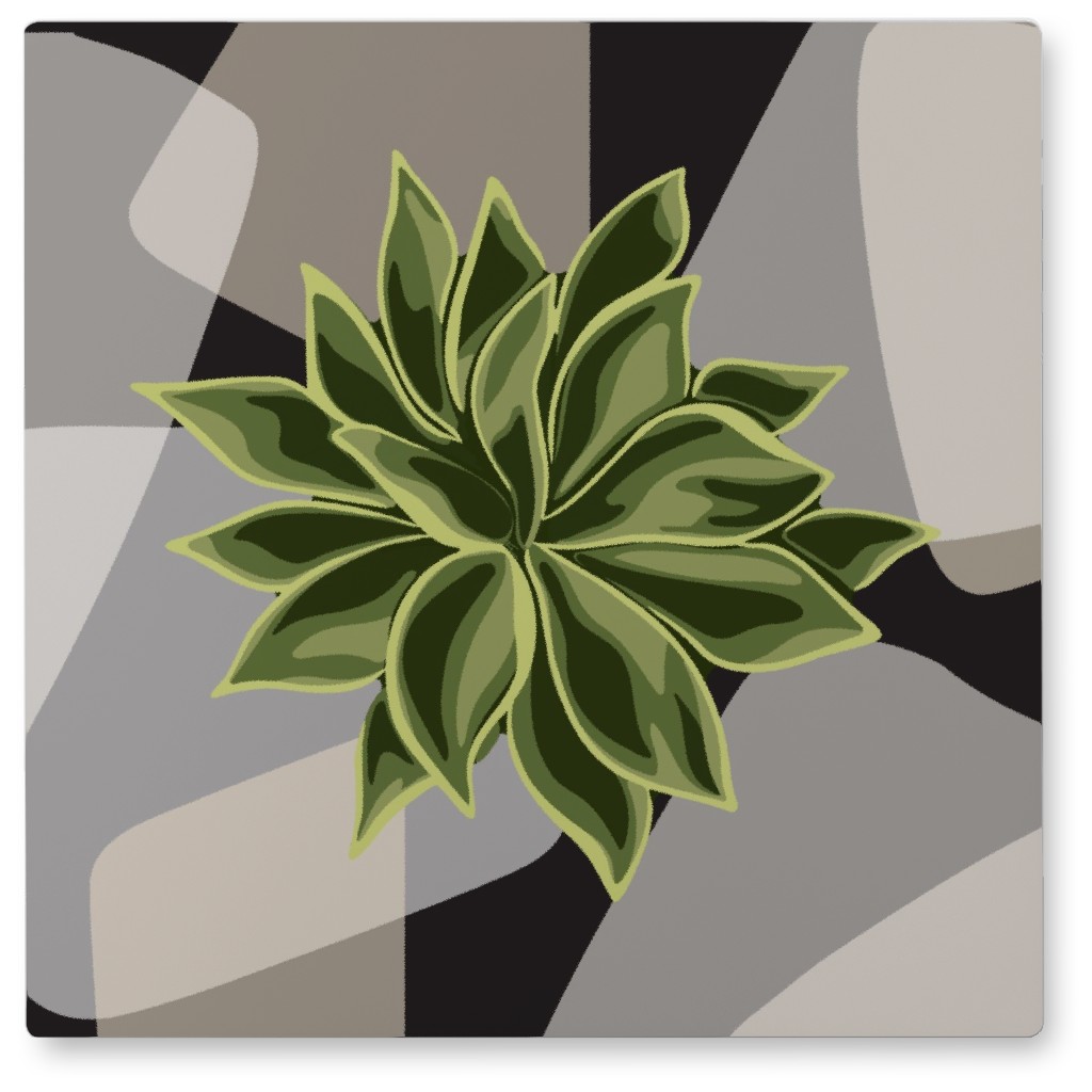 Succulent Abstract - Green on Neutral Photo Tile, Metal, 8x8, Green