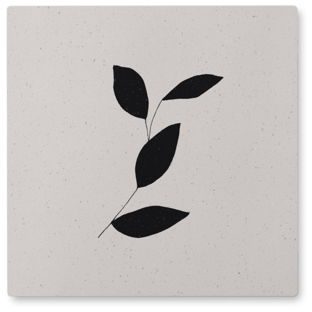 Delicate Branch With Leaves - Black