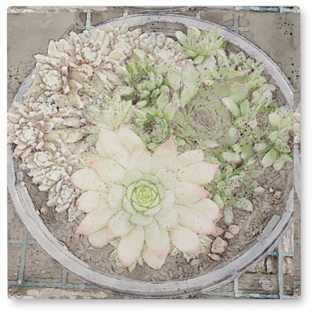 Succulent Watercolor - Gray Photo Tile, Metal, 8x8, Gray