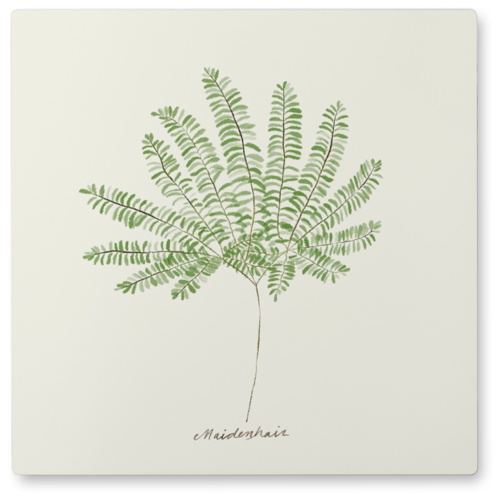 Maidenhair Fern - Green Photo Tile, Metal, 8x8, Green, Classic Green