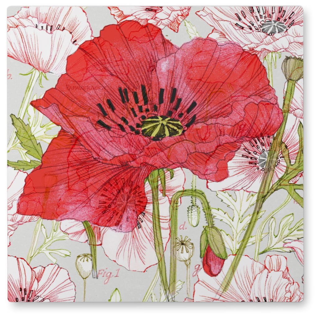 Poppies - Red Photo Tile, Metal, 8x8, Red