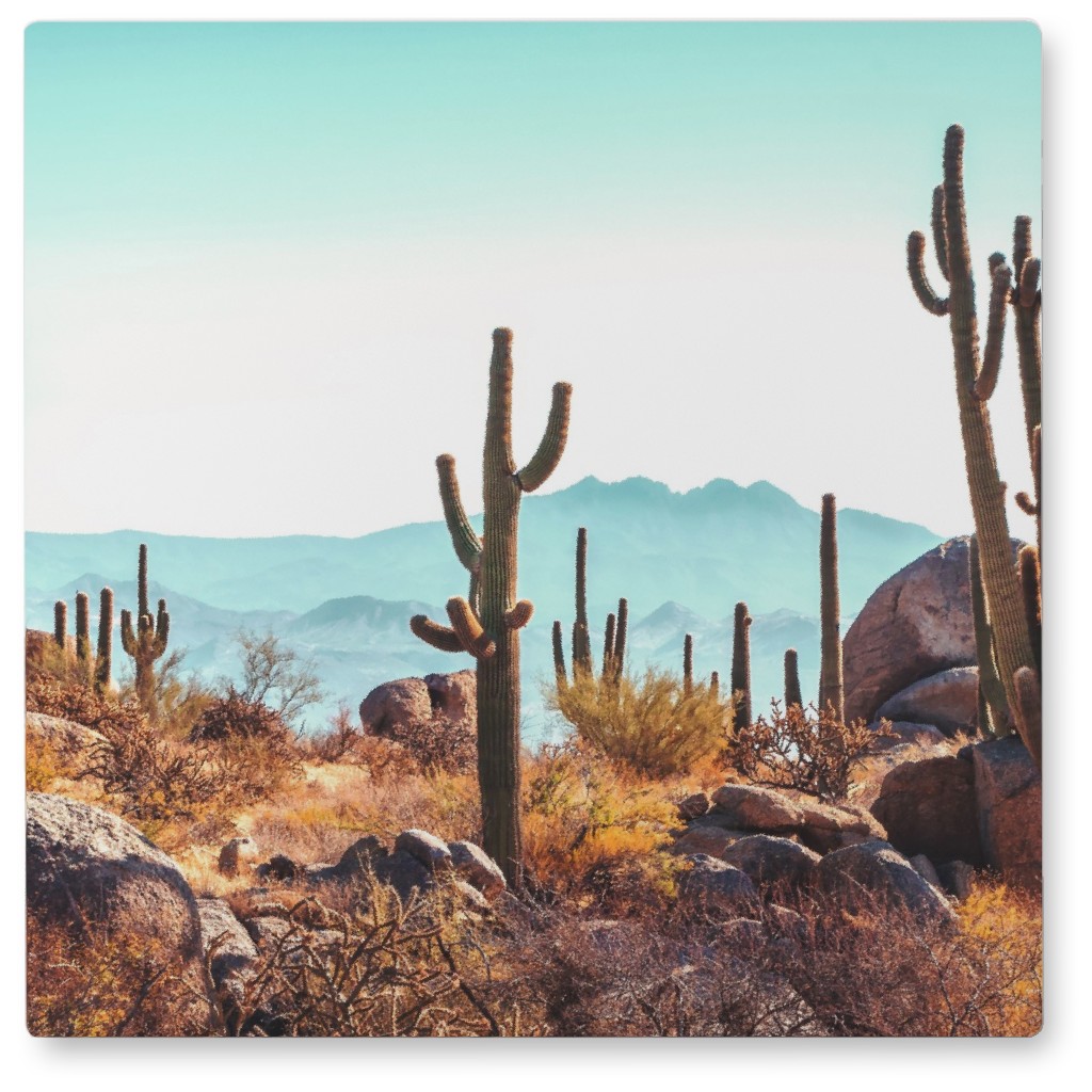 Cactus Field Photo Tile, Metal, 8x8, Multicolor