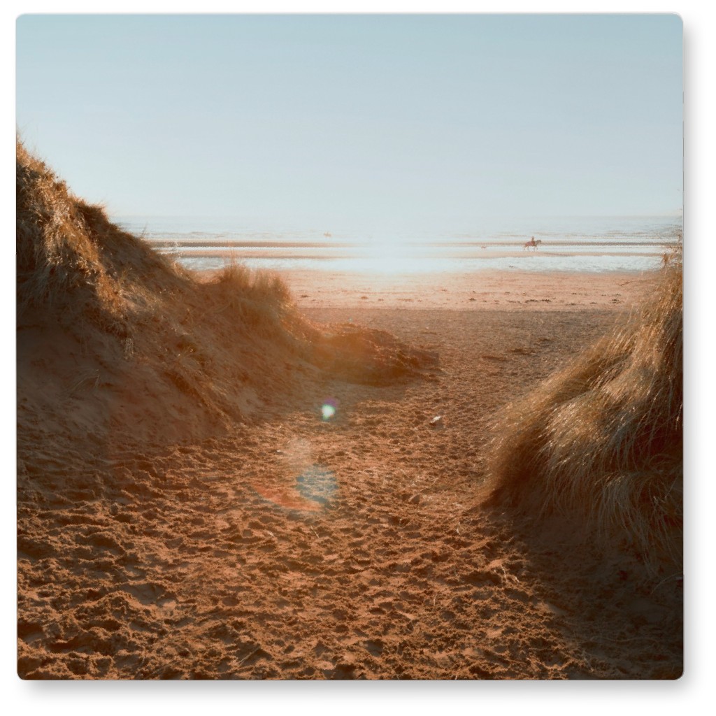 Sand Dune Pathway Photo Tile, Metal, 8x8, Beige