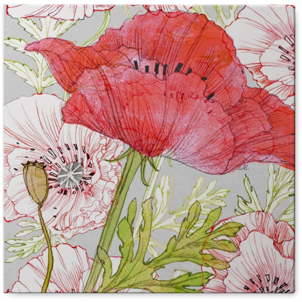 Poppy - Red Photo Tile, Canvas, 8x8, Red